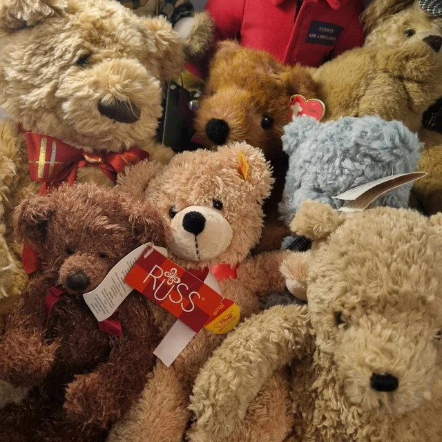 Ty gund hot sale