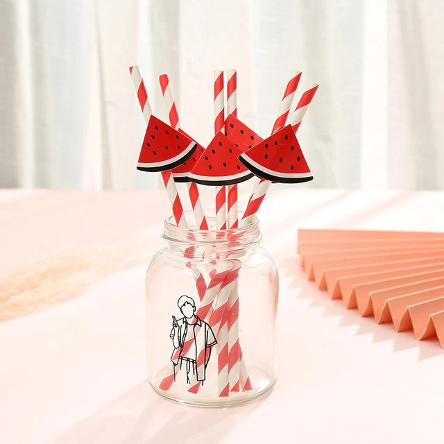 30pcs Party Summer Boire Paies de pastèque
