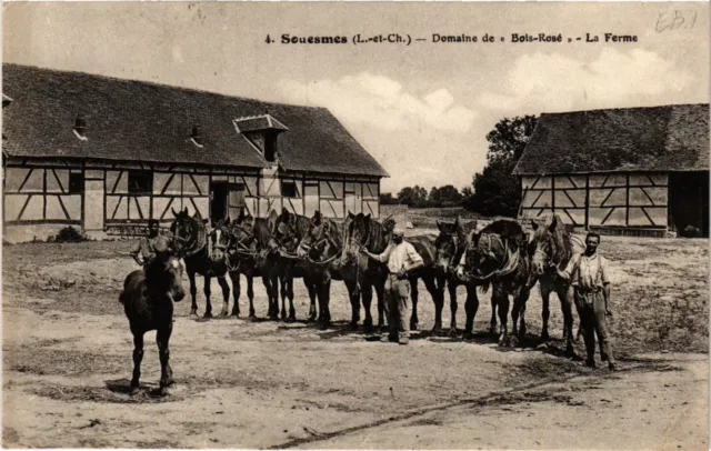 CPA AK Souesmes - Domaine de Bois-Rose - La Ferme (741127)