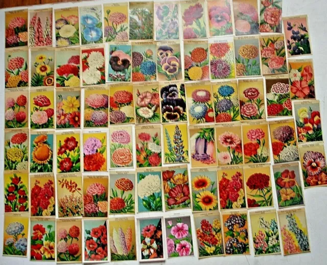 LOT DE 70 ETIQUETTES DE FLEURS"CHROMOS DEBUT 20e" ORIGINE-GRAINETIER-CARD IMAGE