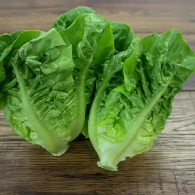 Lettuce Little Gem Seeds Grow Your Own Salad Vegetables Simply Garden