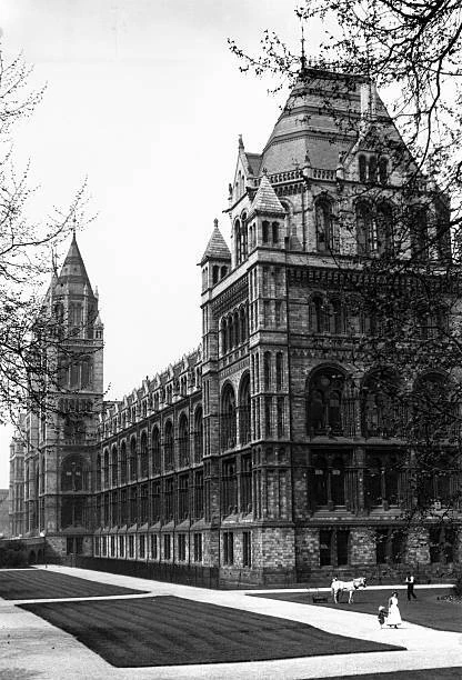 The Natural History Museum in London, c 192 OLD PHOTO