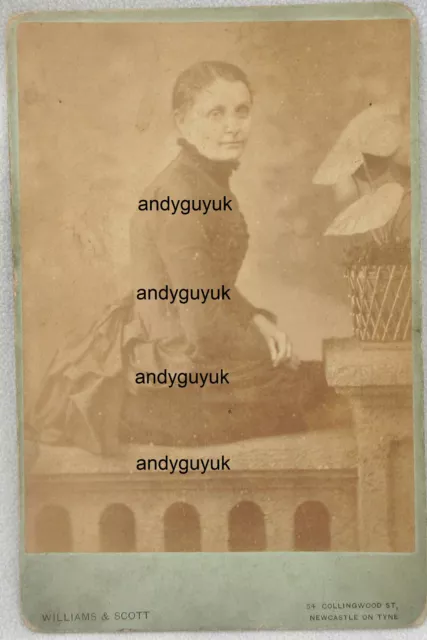 CABINET CARD LADY NAMED E J McLUREBY WILLIAMS SCOTT NEWCASTLE TYNE ANTIQUE PHOTO