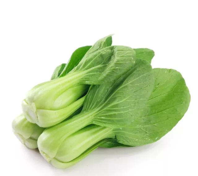 200 Samen Pak Choi schnellwachsender Senfkohl Blätterkohl Asia-Salat