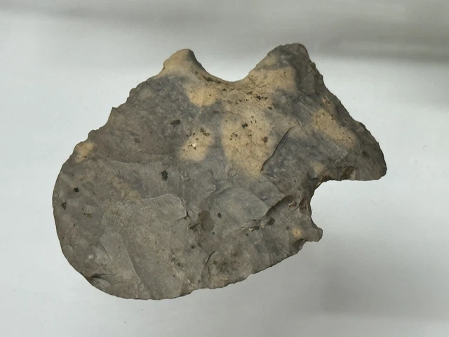Outstanding Color Kirk Cornernotch Bunt Hafted Scraper From Southern Missouri