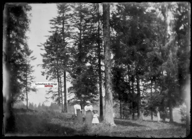 Antique Photo Glass Plate Negative Black & White 13x18cm Forest Wood Family
