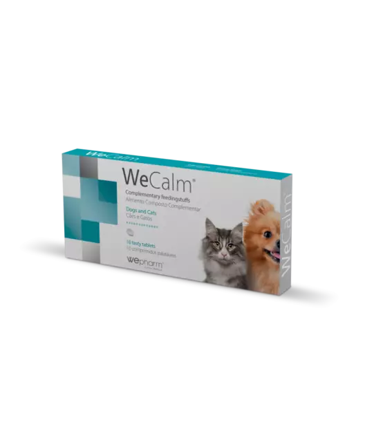 WECALM¹ calmant anti stress anxiete peur chien chat WEPHARM boite 10 capsules
