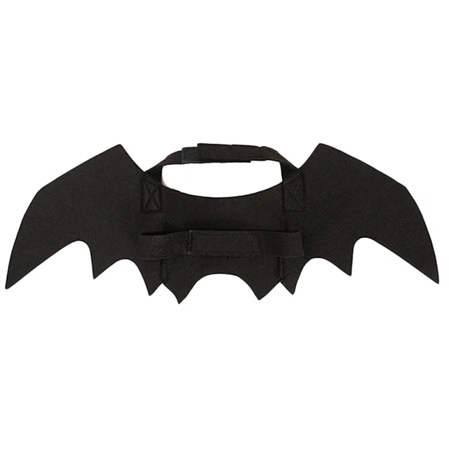 Costume Da Gatto Di Halloween Ala Pipistrello Costumi Cosplay Cane Peloso