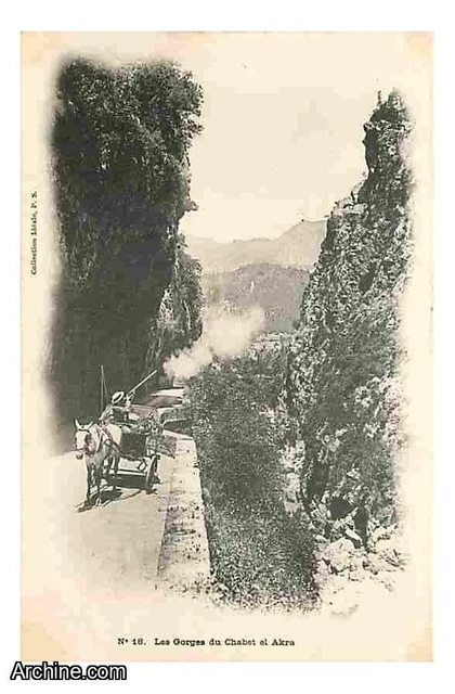 Algerie - Les Gorges du Chabet et Akra - Animee - Precurseur - Chevaux - CPA - V