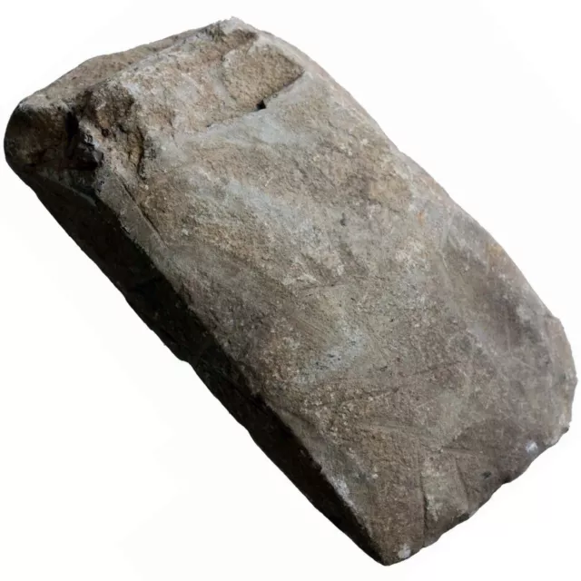 Hacha De Piedra Europea Período Neolítico Alrededor De 4500 Ac