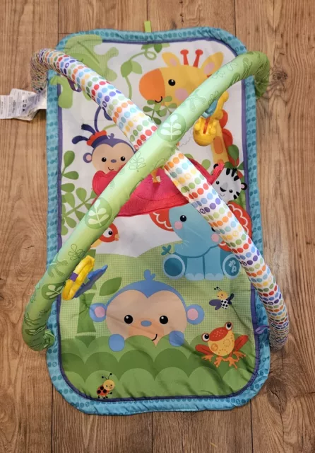 Fisher Price Play Mat, Baby Play Gym