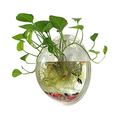 Hanging Wall Mounted 1-Gallon Fish Bowl, Aquarium Wall Decor - Clear (Large)