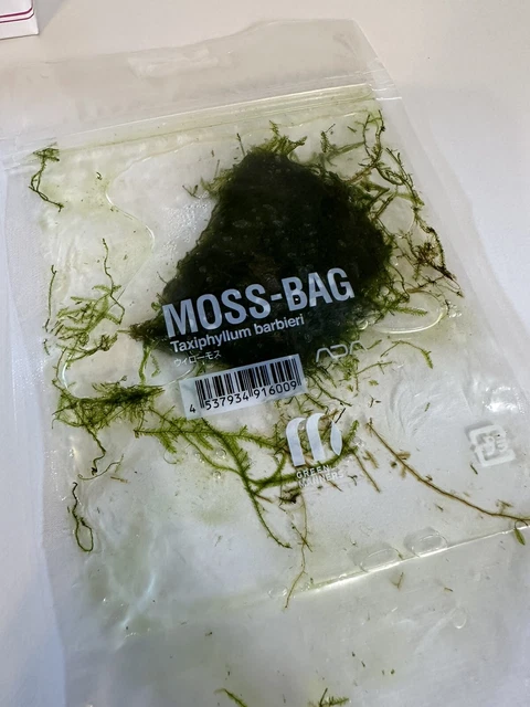 Ada Aqua Design Amano Dooa Maru 95 New Released Item + Extras Ada Moss + Booklet 8