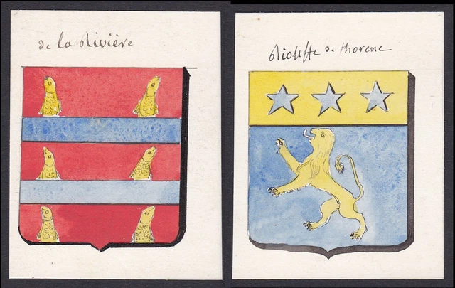 19. Siglo La Riviere Rioufte Francia Escudo Nobleza Abrigo De Arms Acuarela
