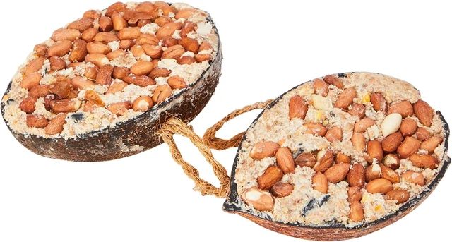 Peanut Butter Homemade Wild Bird Treats Original Peanut Butter For