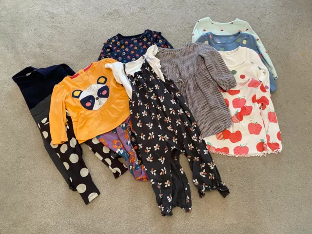 Baby Girl Clothes Bundle 12-18months Next