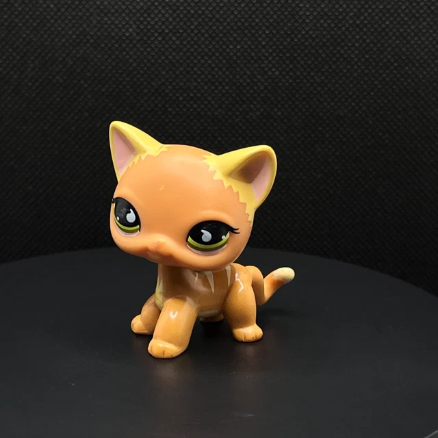 Littlest pet shop orange cat online