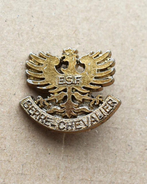 Brevet Médaille Insigne de ski ESF Le Chamois de
