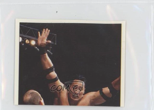 1997 Panini WWF Superstars Album Stickers The Rock Rocky Maivia #123