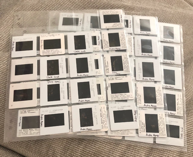 Lot de 100 pages négatives d'archivage 35 mm pouvant contenir sept bandes de cinq cadres