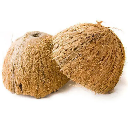 Natural Eco Friendly Big Coconut Shell Halves Organic Ceylon 5 Pieces NEW
