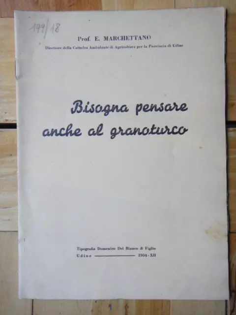 1934-Bisogna pensare anche al granoturco-Prof. ENRICO MARCHETTANO-Udine