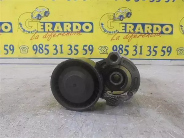 Galet Tendeur Courroie Accessoire Renault Scenic Ii (Jm)(2003->) 1.5 Authentique
