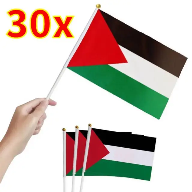 30Pcs Palestine Stick Flag Hand Held Small Miniature Palestinian National Flags