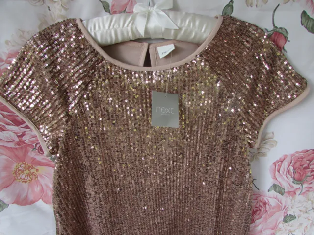 BNWT Gold Sequin Party Occasion Dress By Next 10-11 £45