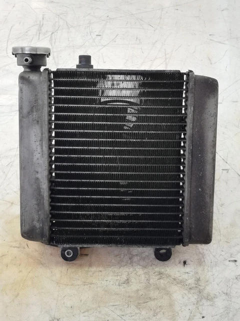 Voyant Arrière Compatible Honda FES 150 Pantheon KF02 1998-2002 - V PARTS, Référence 22226, Neuf étiqueté