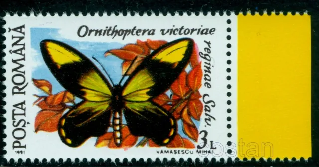 1991 Butterfly,Queen Victoria's birdwing,Ornithoptera victoriae reg.,Romania,MNH