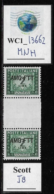 WC1_13662. ITALY: TRIESTE FTT. Gutter pair 2 L. 1950 postage dues. Scott J8. MNH