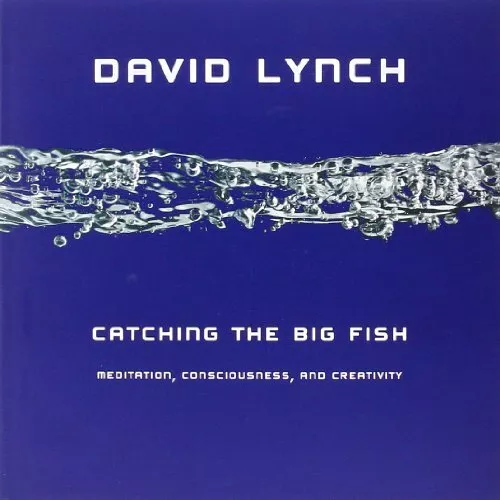 Catching the Big Fish: Meditation, Consciousness, and Creativity by David Lynch