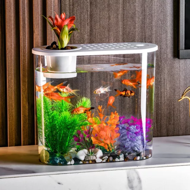 Transparent Plastic Hydroponic Fish Tank  Landscape Decorations