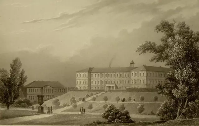 NEUSTRELITZ - Schlossansicht - Kurz &  Poppel - Stahlstich um 1840