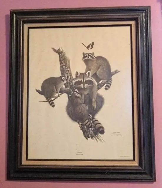 Ray Harm Limited Edition Hand Signed Framed Print "Raccoon” Family With Moth