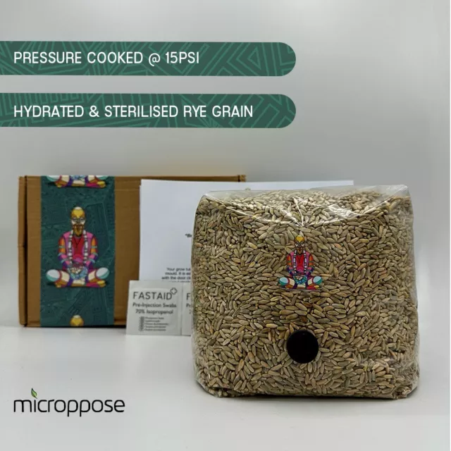 Rye Grain Bag 500g - 1.5KG For Mushroom Growing - Spawn Hydrated & Sterilised