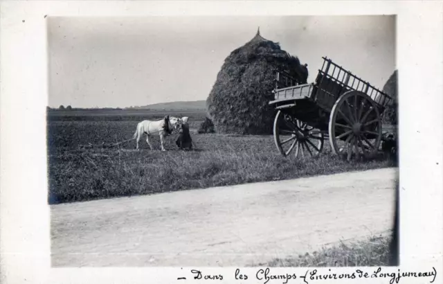 Cpa 91 Carte Photo Environs De Longjumeau Dans Les Champs (Superbe Cliche Scene