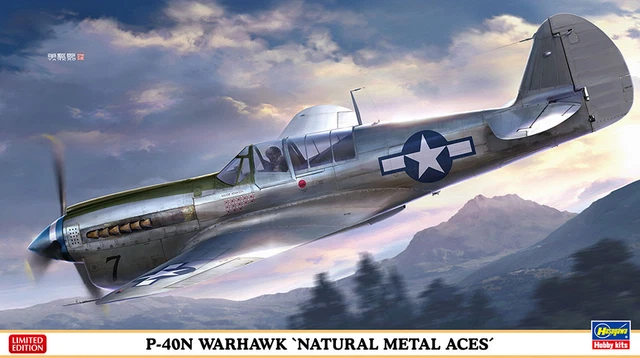 1/32 Hasegawa P-40N-1 Warhawk Ruth A
