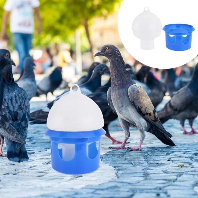1pc Distributeur d'eau pour oiseaux Récipient d'eau d'oiseau
