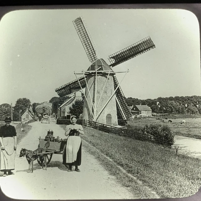 Vtg Keystone Magic Lantern Glass Slide Photo Netherlands Dog Cart Windmill