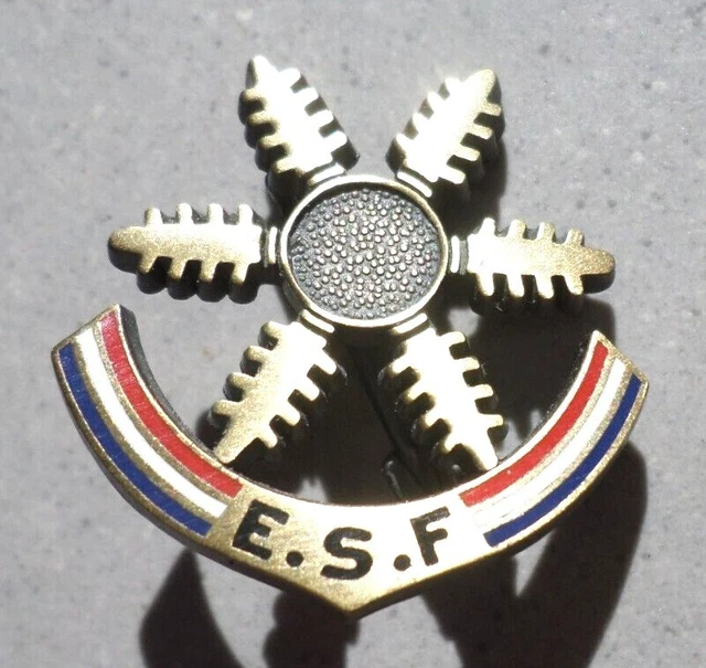 Broche ESF Flocon De Neige Avec 2 étoiles – Insigne Ski, Occasion – Style Vintage