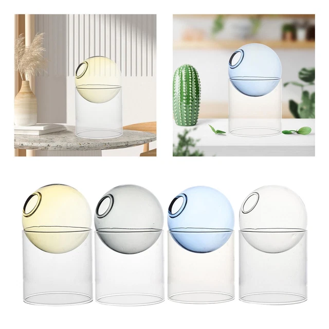 4 Pièces Style Nordique Vase En Verre Terrarium Pot de Fleur Vases de Table
