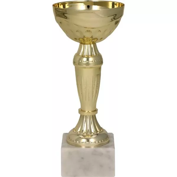 Coppa Trofeo Premio con Coperchio per Cerimonie di Premiazione Campionati