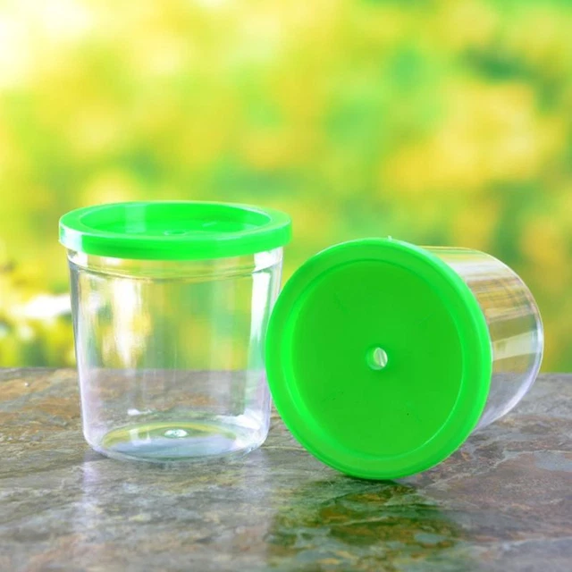 Plastic Aquarium for Kids Mini Transparent Betta Cups Small Fish Incubator 6