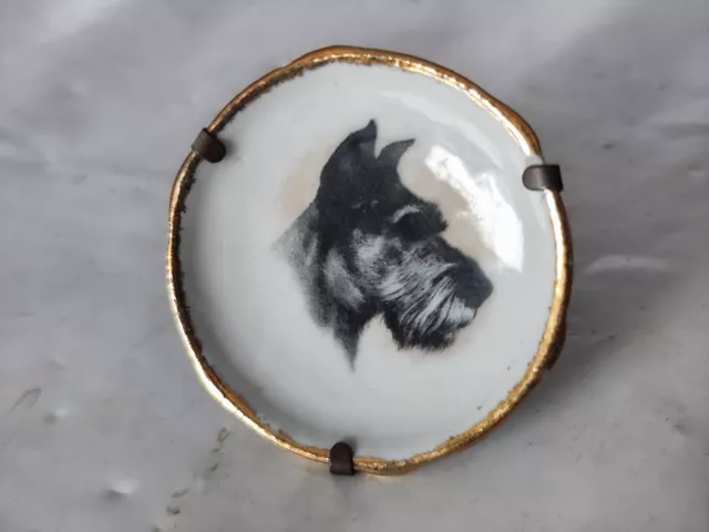Aus einer Auflösung: toller kleiner Porzellan Sammelteller mit Hundekopf-Limoges