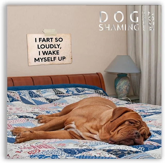 DOG SHAMING CALENDAR 2024 Funny Wall 12 Inch X 12 Inch 19 27 PicClick