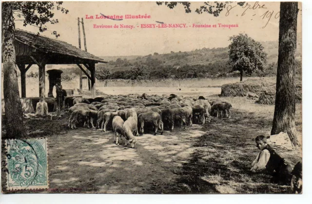 ESSEY LES NANCY - Meurthe & Moselle - CPA 54 - Fountain and herd of sheep