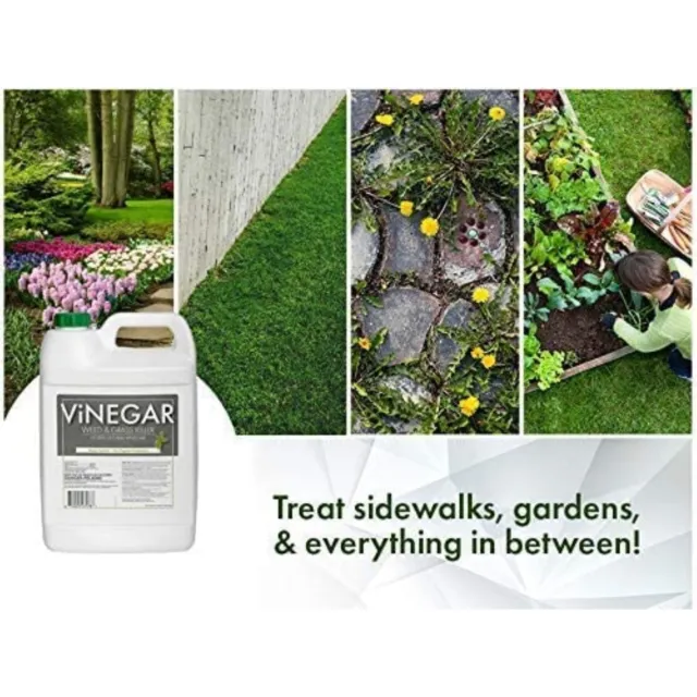 Energen Carolina Vinegar Organic Weed & Grass Killer, Glyphosate Free, 1 Gallon 3