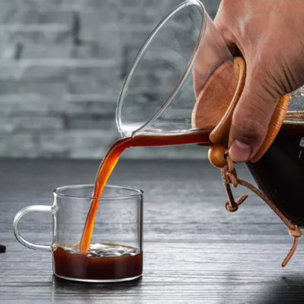 Manual Coffee Dripper Brewer with Borosilicate Glass Pour Over Coffee Maker Hot